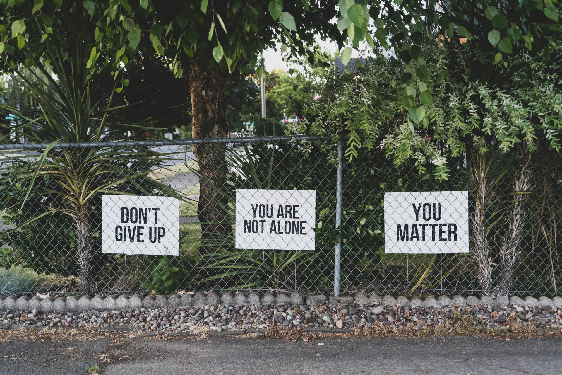 Understanding grief — a Lunovia journal post