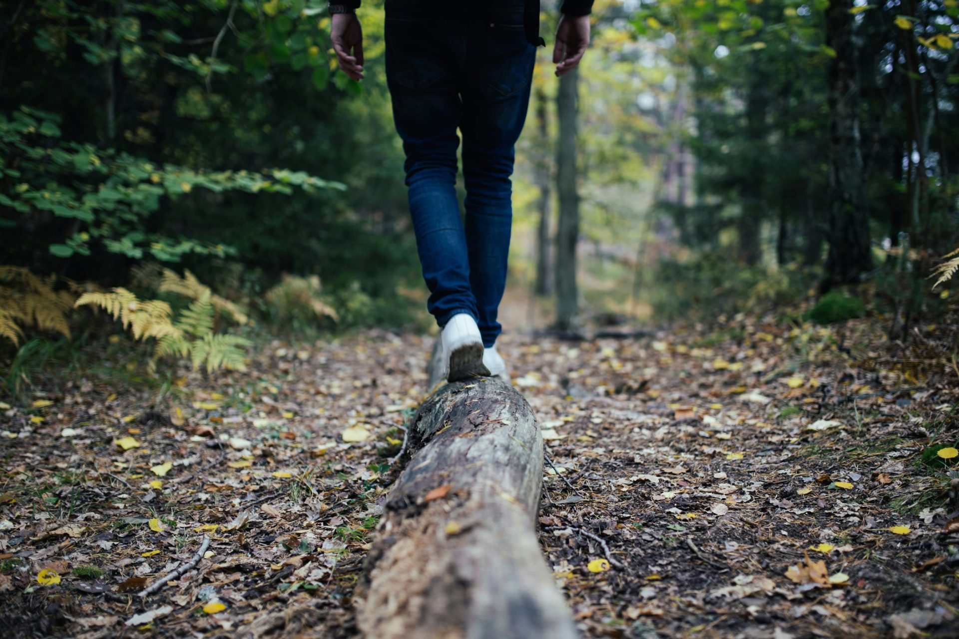 Walking through nature — a path of healing
